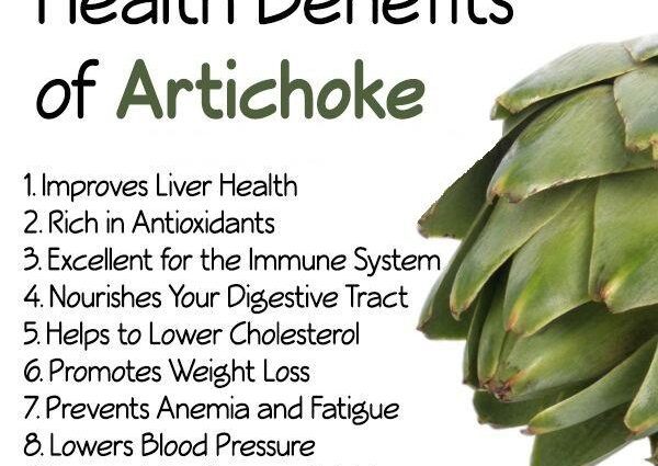 The benefits and harms of artichoke