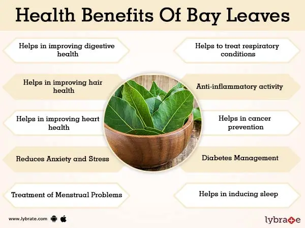 The benefits and harms of bay leaves