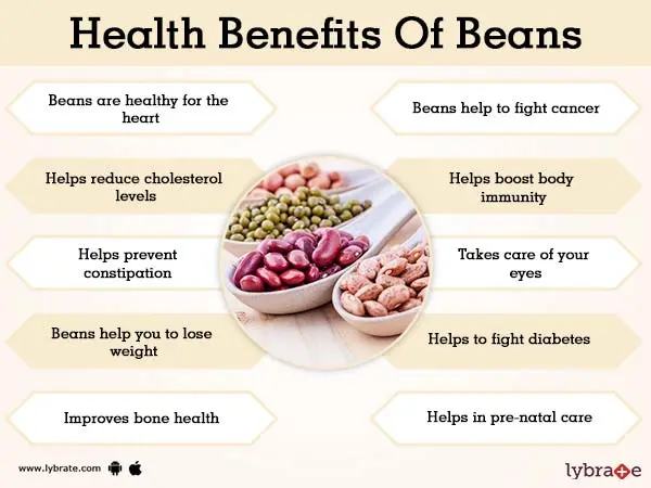 The benefits and harms of beans for the human body