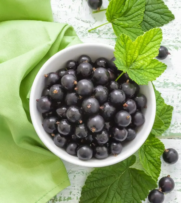 The benefits and harms of black currant