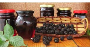 The benefits and harms of blackberries