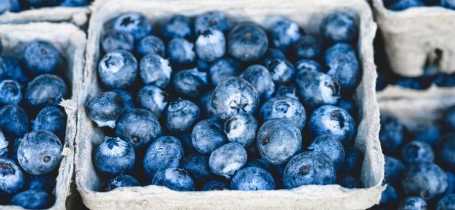 The benefits and harms of blueberries for the human body