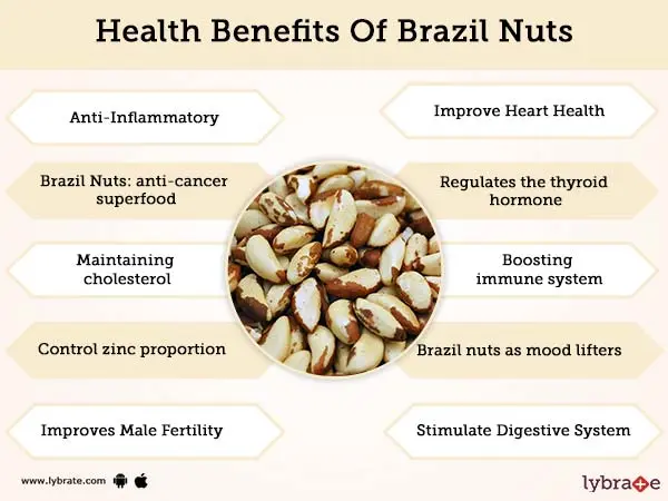 The benefits and harms of Brazil nuts