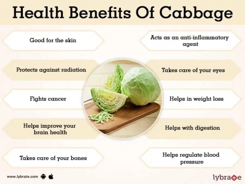 The benefits and harms of cabbage