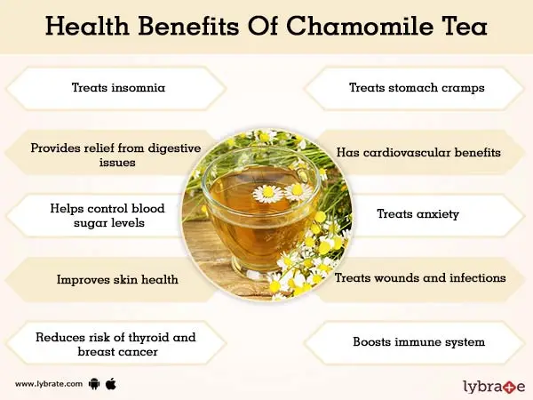 The benefits and harms of chamomile