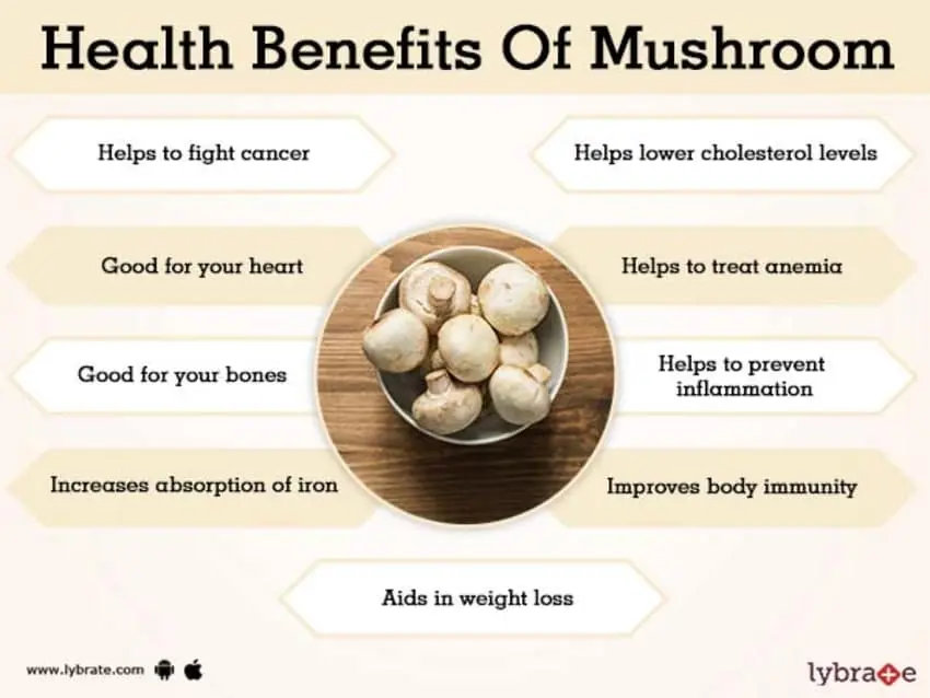 The benefits and harms of champignons