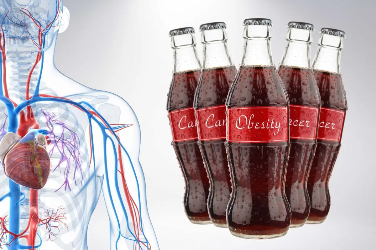 The benefits and harms of Coca-Cola for the human body