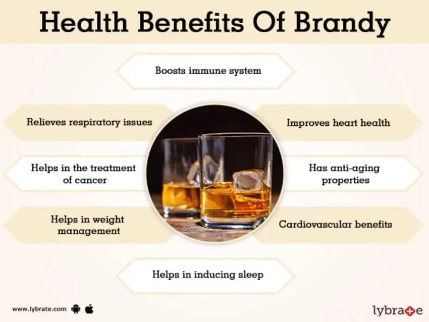 The benefits and harms of cognac for the human body