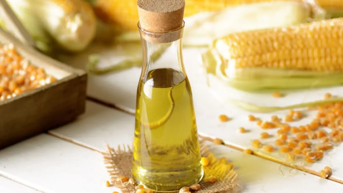 The benefits and harms of corn oil for the human body