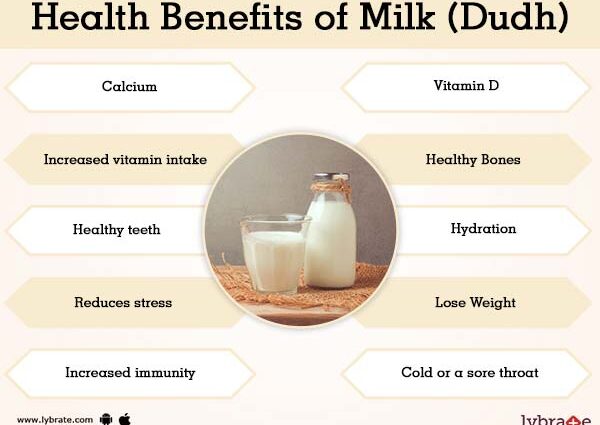 Los beneficios y daños de la leche de vaca para el cuerpo humano.