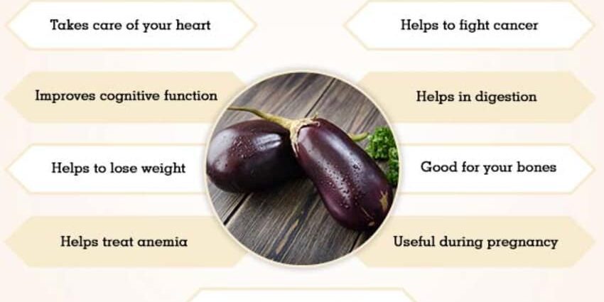 The benefits and harms of eggplant for the human body