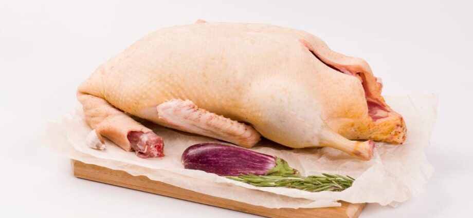 Os benefícios e malefícios da carne de ganso, valor nutricional, composição