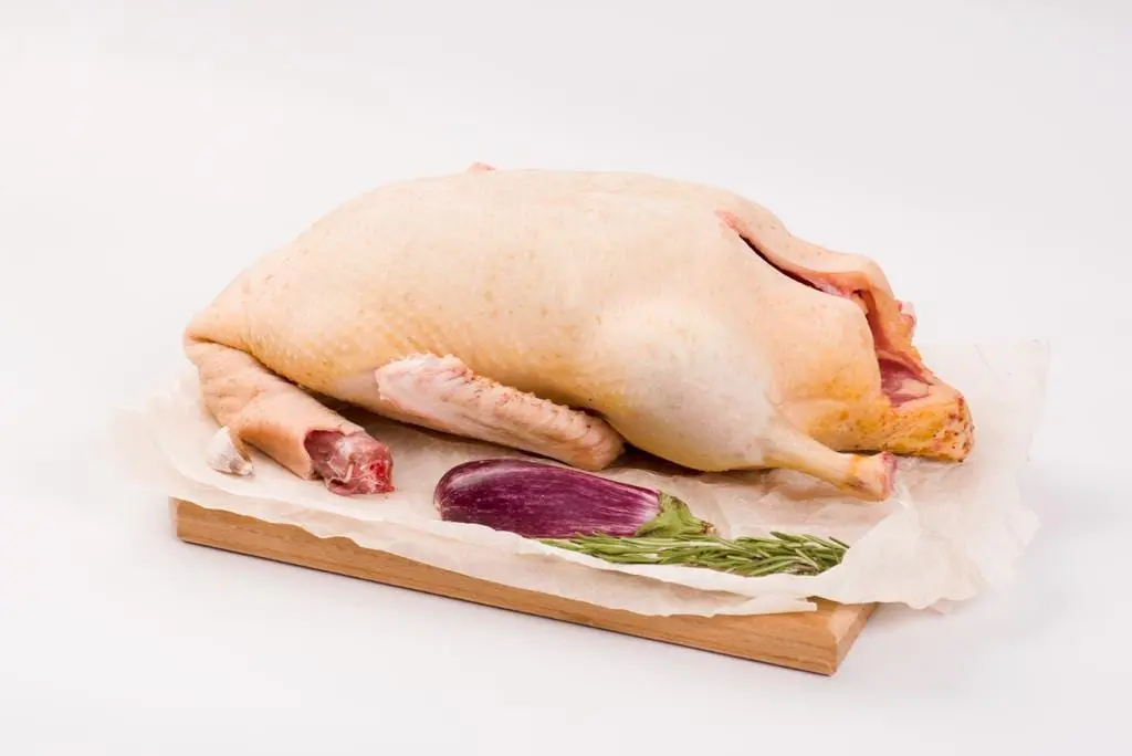 The benefits and harms of goose meat, nutritional value, composition