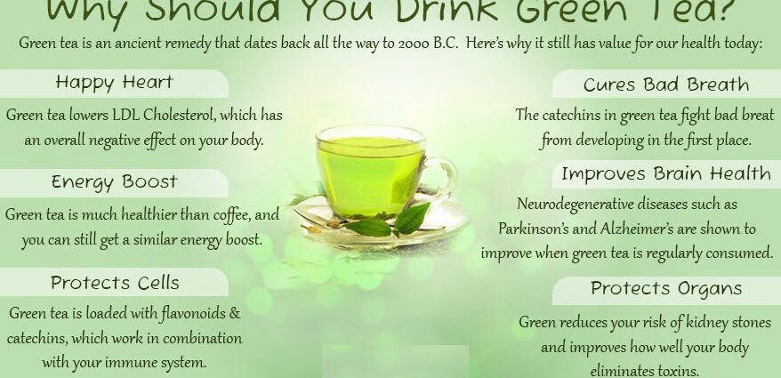 The benefits and harms of green tea for the human body