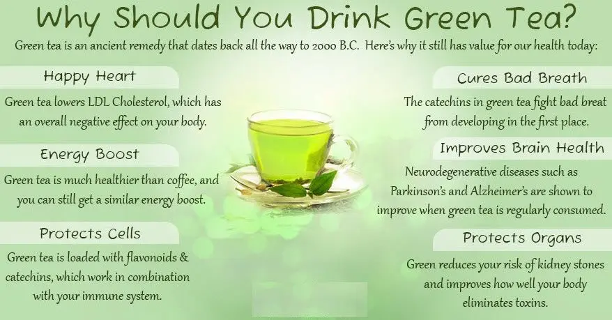 The benefits and harms of green tea for the human body