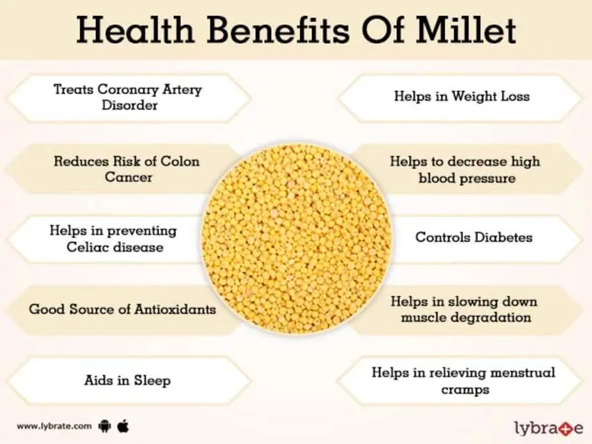 The benefits and harms of millet porridge