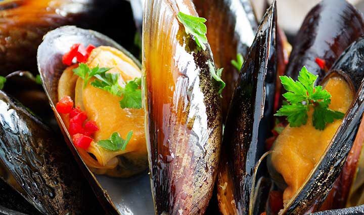 The benefits and harms of mussels for the human body