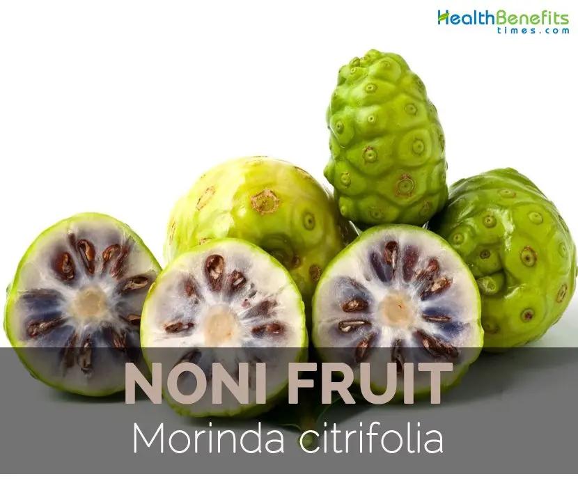 The benefits and harms of noni berries: composition, nutritional value, calorie content