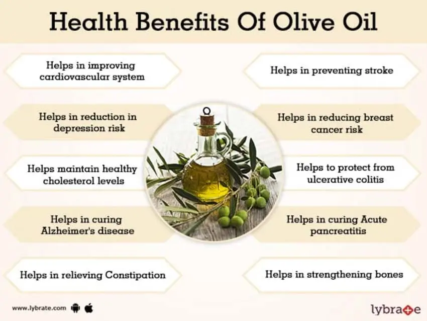 The benefits and harms of olives for the human body