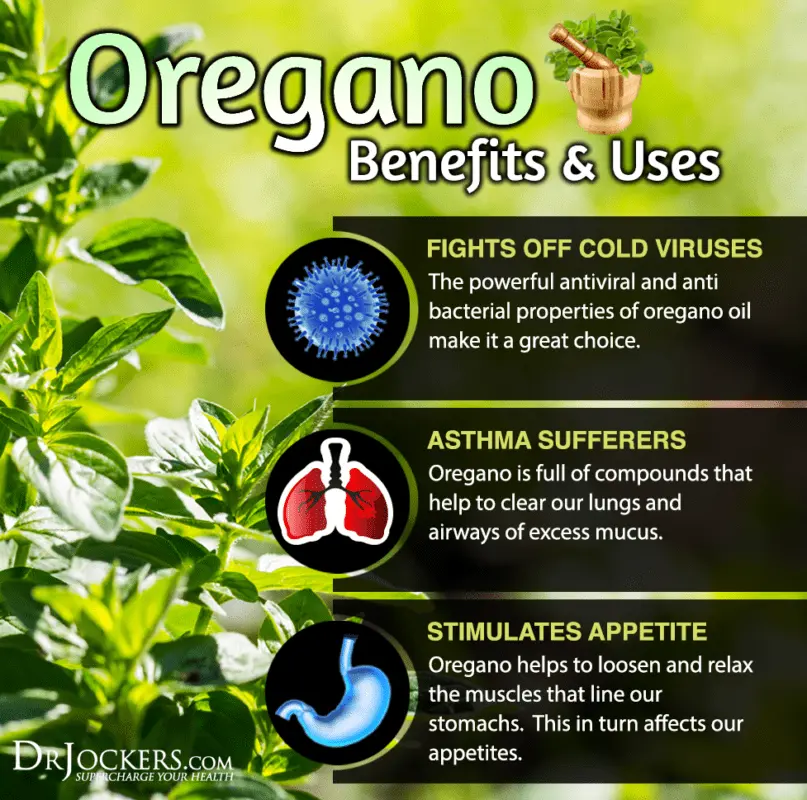 The benefits and harms of oregano