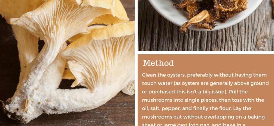 牡蛎蘑菇的好处和危害