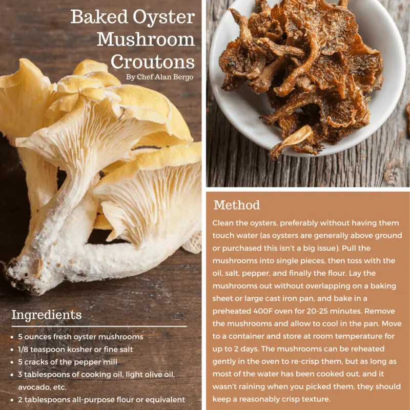 The benefits and harms of oyster mushrooms