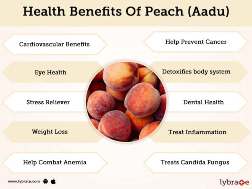 The benefits and harms of peaches for the human body - Healthy Food Near Me.