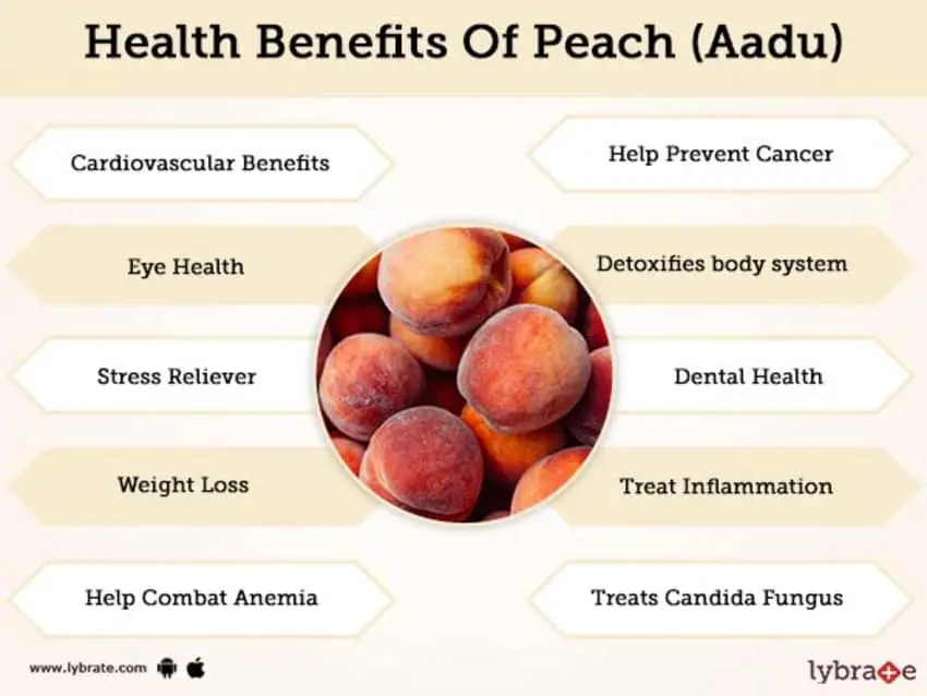 The benefits and harms of peaches for the human body