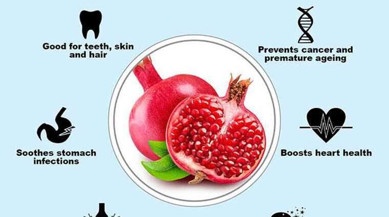 The benefits and harms of pomegranate juice for the human body