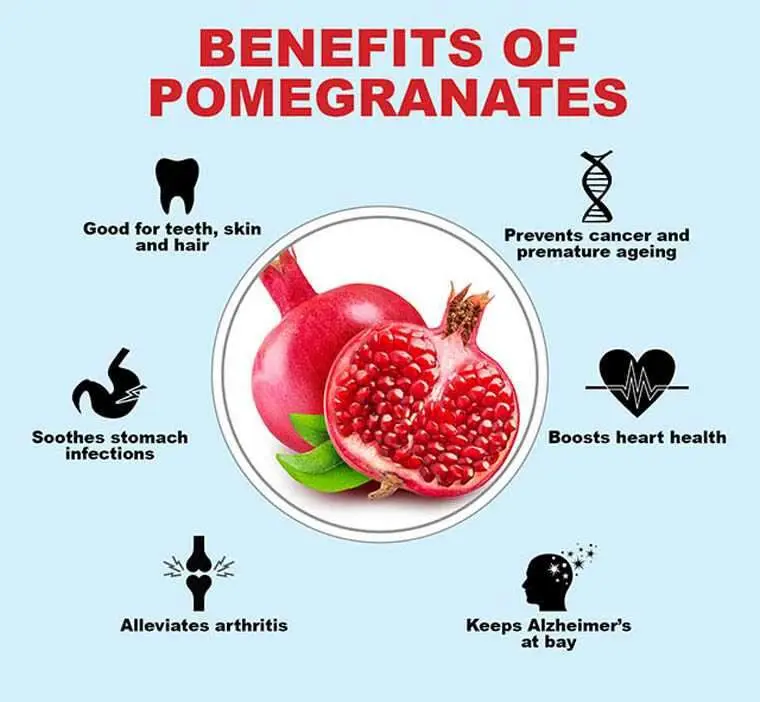 The benefits and harms of pomegranate juice for the human body