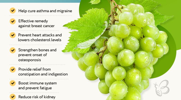 The benefits and harms of products How and where to store grapes correctly?