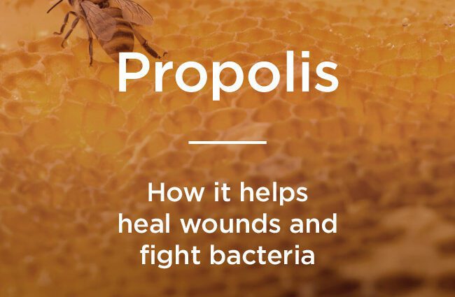 The benefits and harms of propolis for the human body