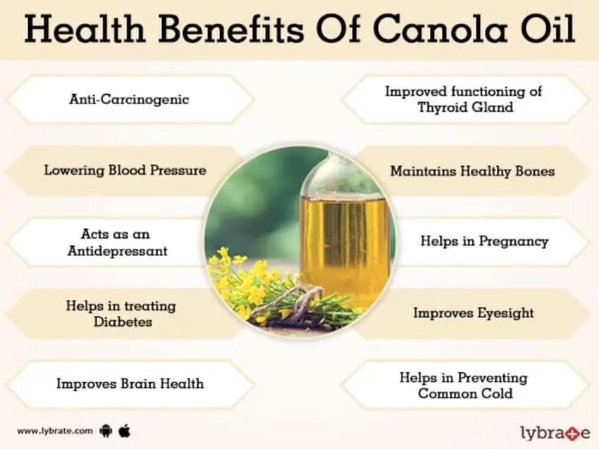 The benefits and harms of rapeseed oil for the body: composition.