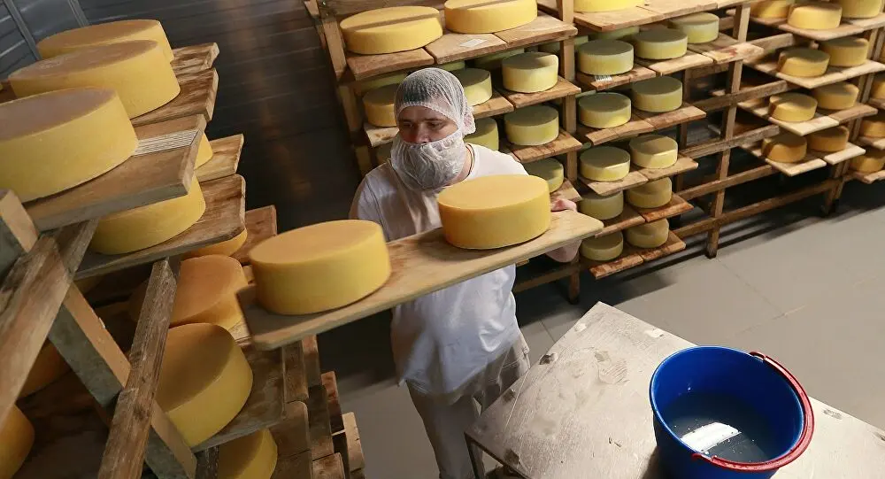 The benefits and harms of Russian cheese