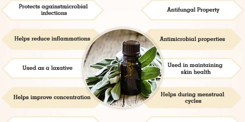 The benefits and harms of sage