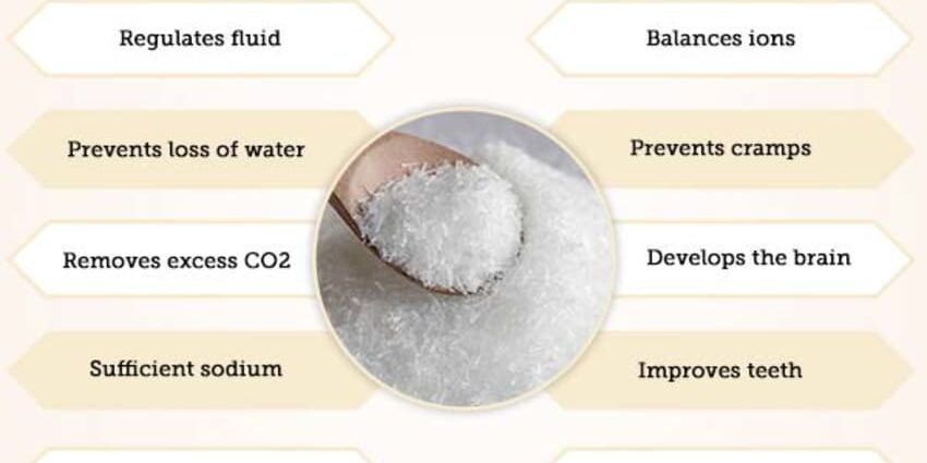 The benefits and harms of salt for the human body