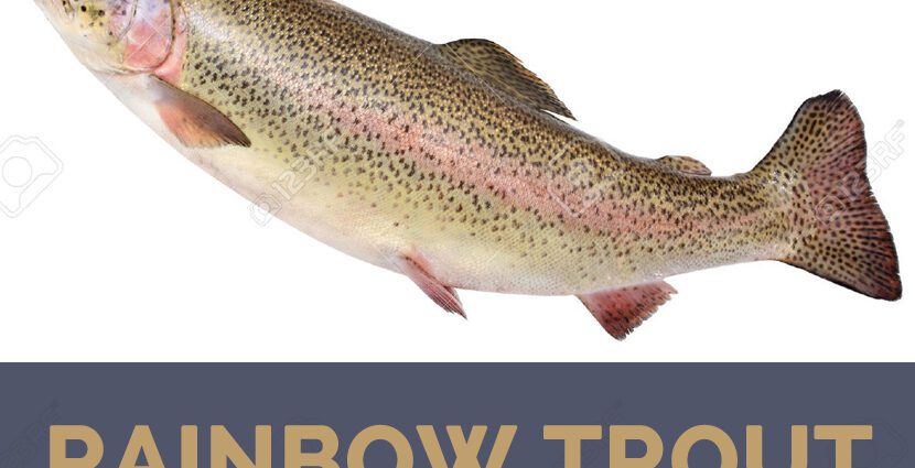 The benefits and harms of trout