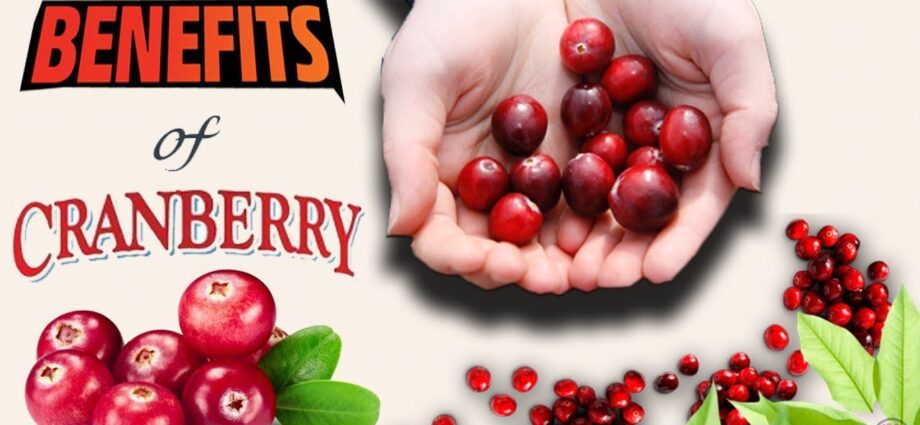 The benefits of cranberries and cranberry juice: video