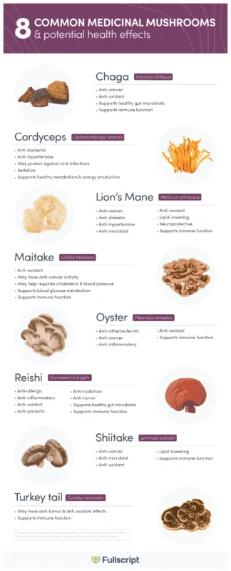 The benefits of mushrooms for immunity