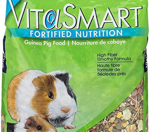 The best food for guinea pigs: customer reviews