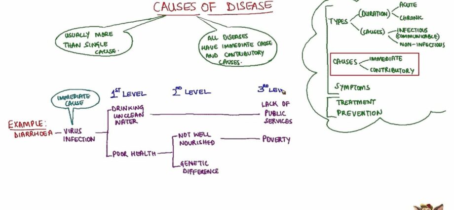病気の原因、ウイルスの感染様式は何ですか？