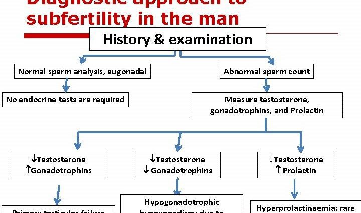As causas da infertilidade, que exames someterse - endocrinólogo