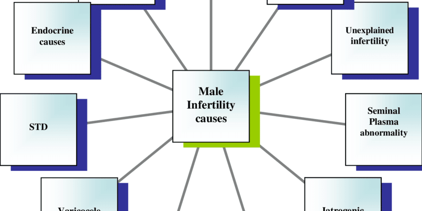 The causes of male infertility