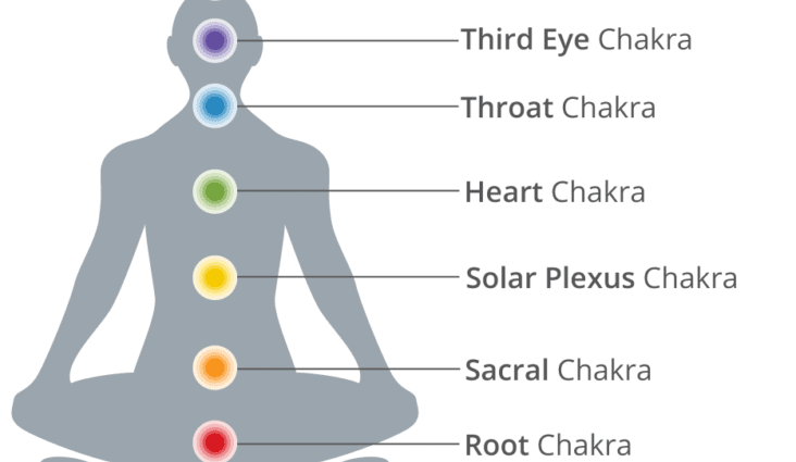 The chakras