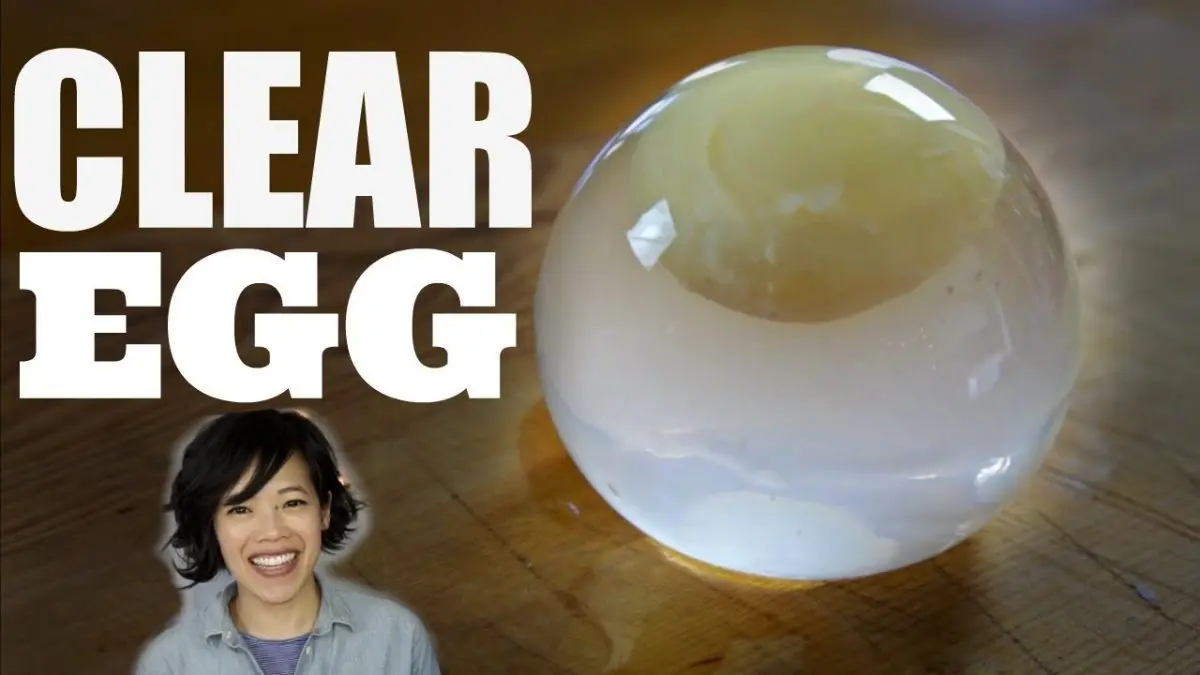 The clear egg: what is it?