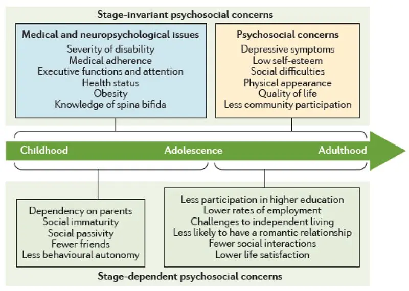 The consequences of spina bifida