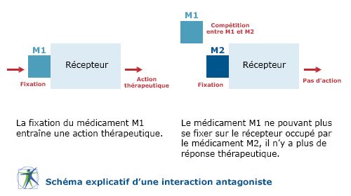 The different types of drug interactions