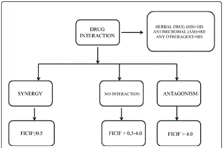 The different types of drug interactions