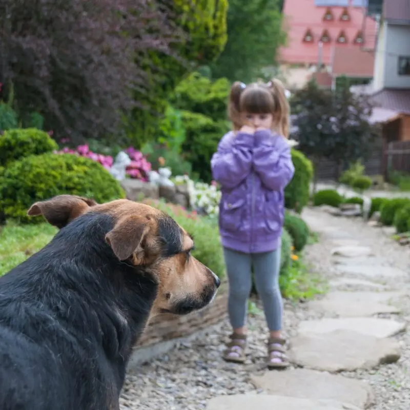 The dog helps to get rid of childhood fears