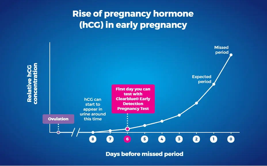 The earliest date at which pregnancy can be determined